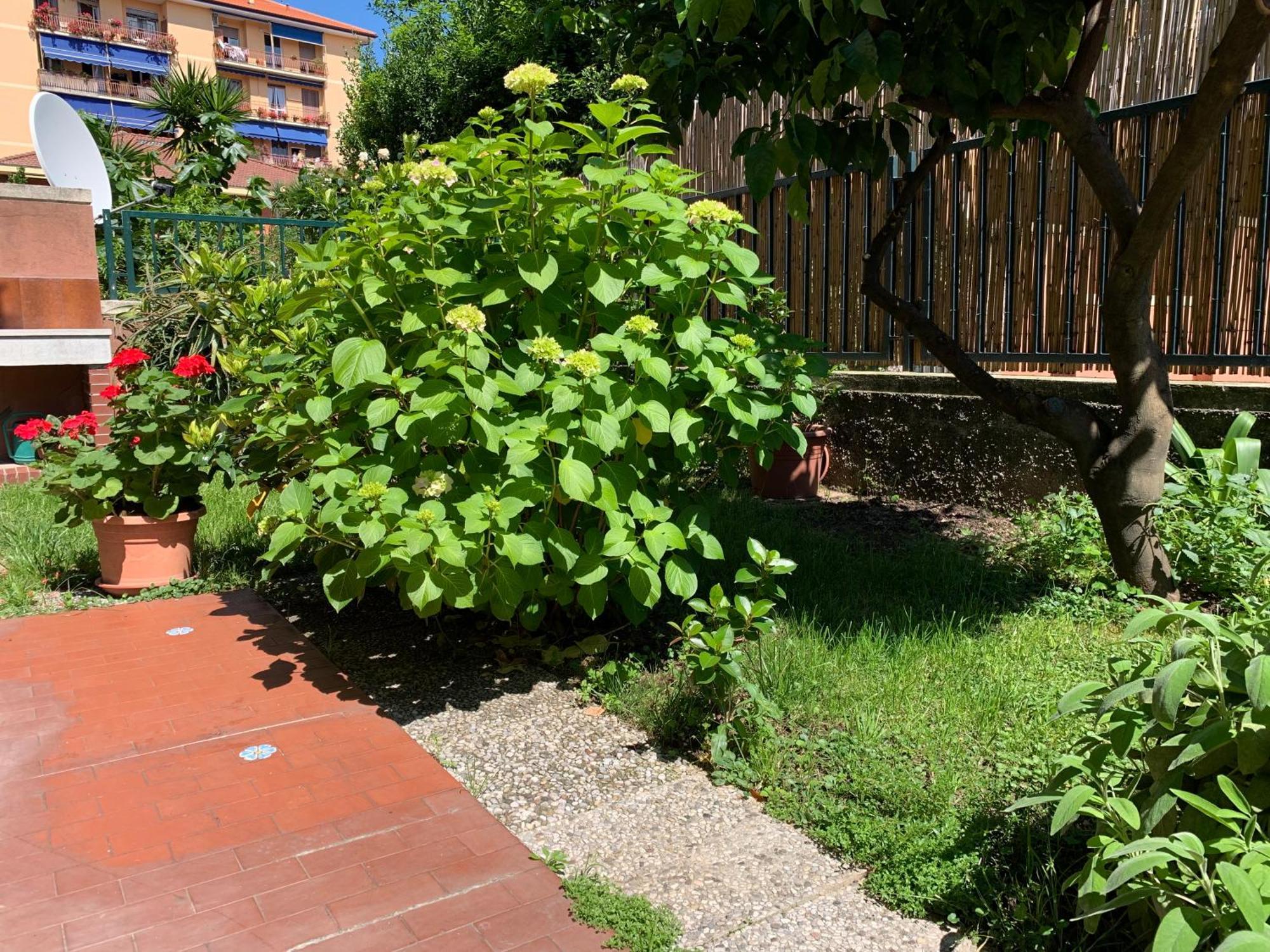 Il Giardino Dei Limoni Διαμέρισμα Chiavari Εξωτερικό φωτογραφία